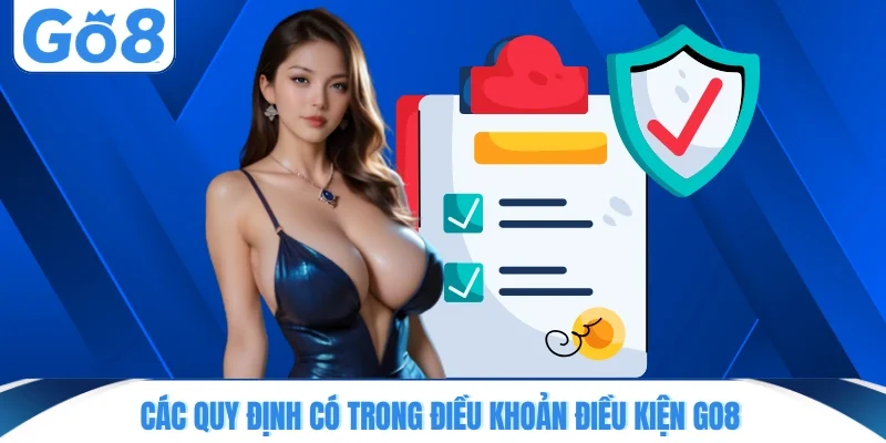 cac quy dinh co trong dieu khoan dieu kien go8 Các quy định có trong điều khoản điều kiện GO8