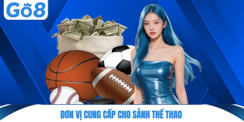 don vi cung cap cho sanh the thao Đơn vị cung cấp cho sảnh thể thao