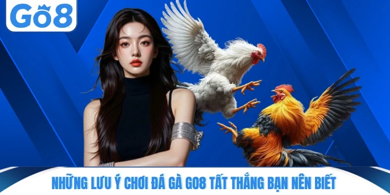 nhung luu y choi da ga go8 tat thang ban nen biet Những lưu ý chơi đá gà GO8 tất thắng bạn nên biết