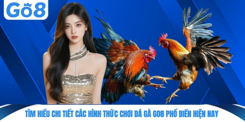 tim hieu chi tiet cac hinh thuc choi da ga go8 pho bien hien nay Tìm hiểu chi tiết các hình thức chơi đá gà GO8 phổ biến hiện nay